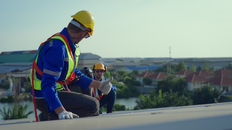 Best Steel Roofing  in Thomasboro, IL