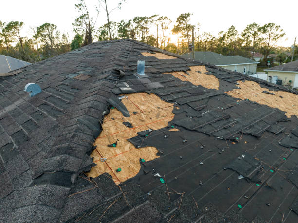 Skylights in Thomasboro, IL
