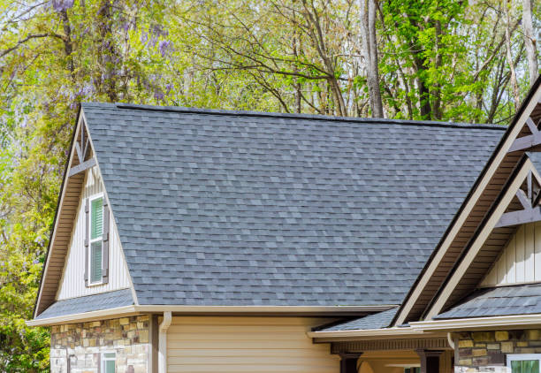 Best Skylight Installation and Repair  in Thomasboro, IL