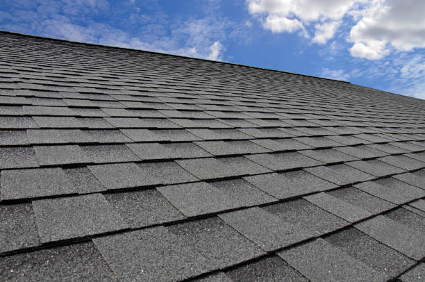 Best Roof Leak Repair  in Thomasboro, IL