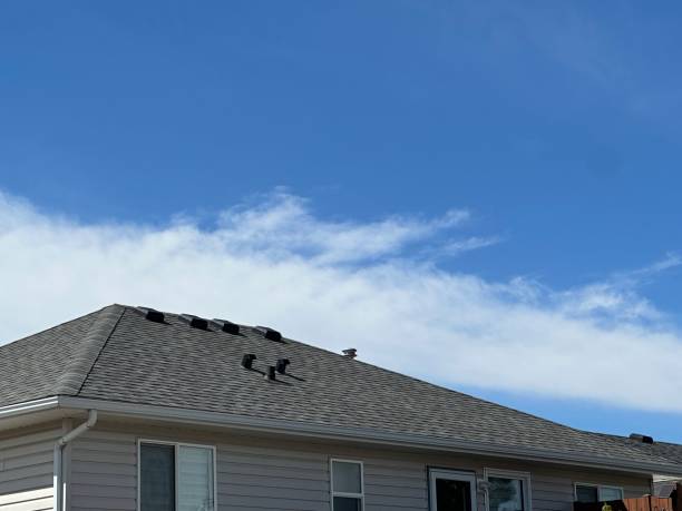 Best Emergency Roof Repair  in Thomasboro, IL