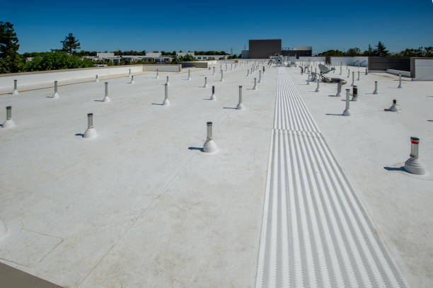 Best Storm Damage Roof Repair  in Thomasboro, IL